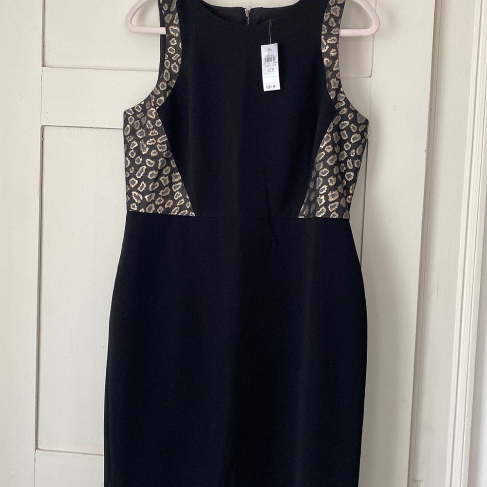 Ann Taylor petite dress with contrasting fabric on sides for a small waist look